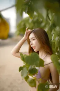 น้องแชมป์ habita 14