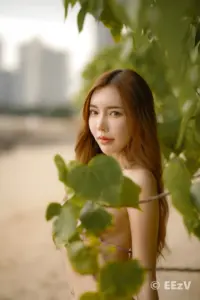 น้องแชมป์ habita 16